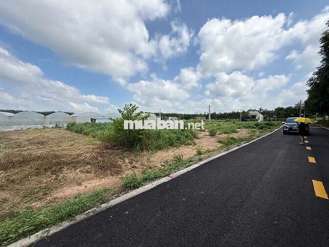 CẦN BÁN lô đất 250m2 560tr đường nhựa 7m ngay KCN AN LINH 1000Ha