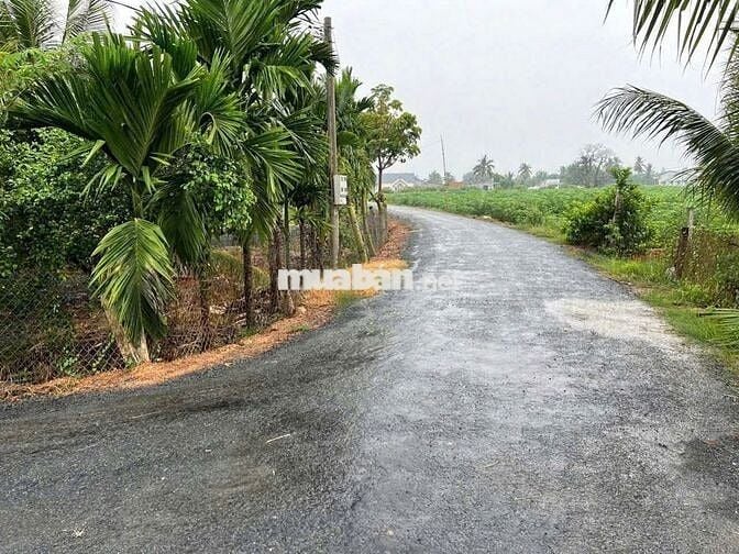 10x40 400m2 200 Thổ Cư 295Trieu