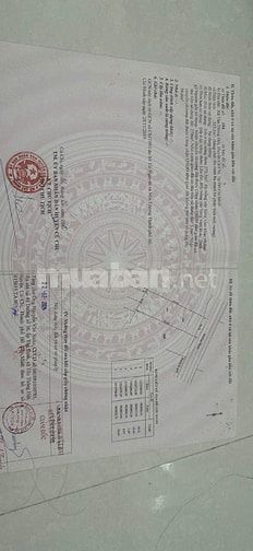 BÁN GẤP NHÀ TRỌ 12 PHÒNG KHU VIỆT KIỀU CỦ CHI 333M2 SHR GIÁ CHỈ 1 TỶ 3