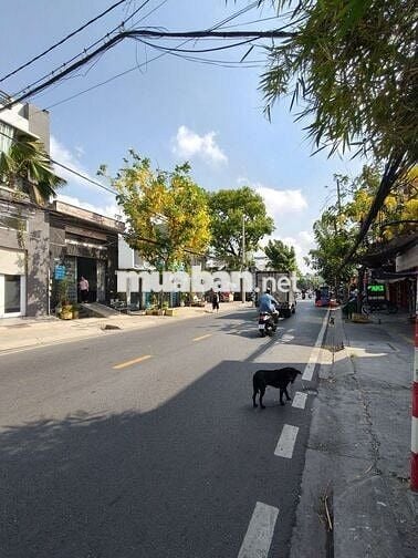 Cho thuê nhà mặt tiền Phạm Thế Hiển, P7,Q8 kinh doanh đa ngành 5x23m 