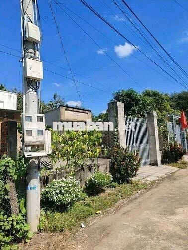 Bán đất tại xã An Long, Hồ Chí Minh diện tích 500m2 đúng giá 700 triệu