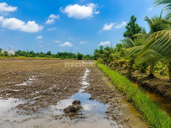 Bán đất thổ cư chính chủ 300m² (10x30) tại Hựu Thạnh, Đức Hòa