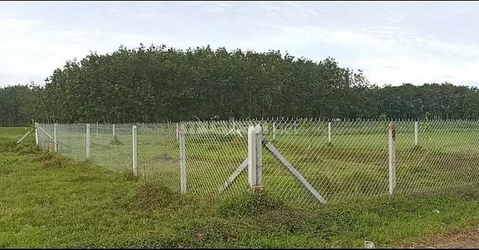 Bán 304 m2 đất vườn tại An Nhơn Tây củ chi