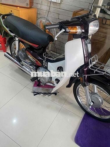 Honda Super Dream 2004 Nâu Trắng