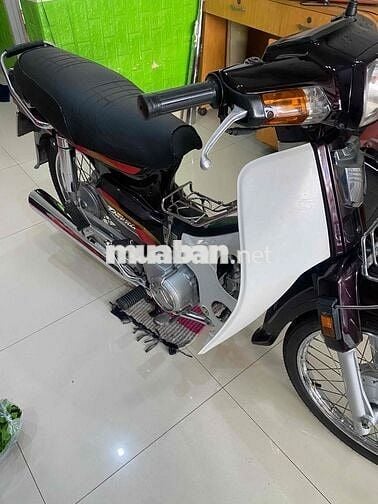 Honda Super Dream 2004 Nâu Trắng