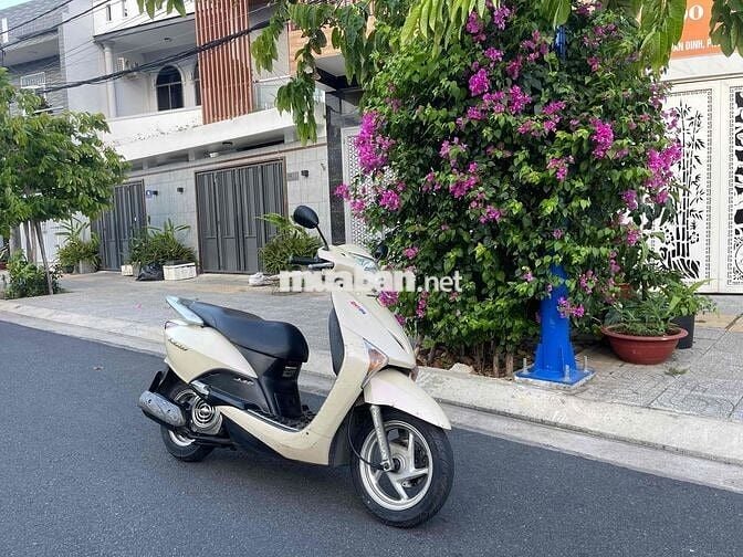 Honda Lead 110Fi Vàng kem biển 72