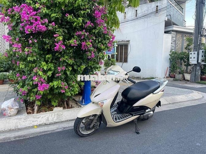 Honda Lead 110Fi Vàng kem biển 72