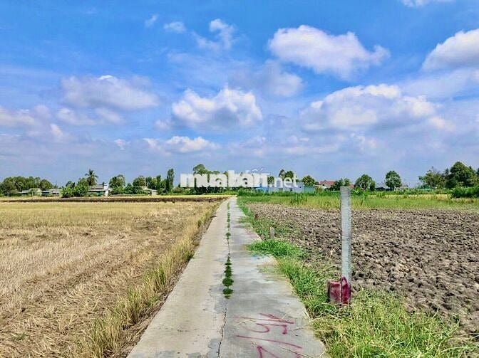 Bán đất ở tại nông thôn, rất đẹp, thích hợp an cư lạc nghiệp