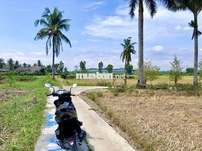 Bán đất ở tại nông thôn, rất đẹp, thích hợp an cư lạc nghiệp