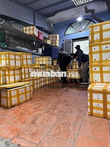 TUYỂN 2 NHÂN VIÊN GIAO NHẬN LƯƠNG CAO [BAO ĂN Ở]