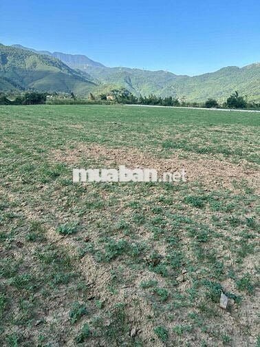 bán lô đất 1000m có 150m đất ở hoà bắc phường hải vân