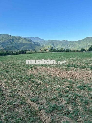 bán lô đất 1000m có 150m đất ở hoà bắc phường hải vân