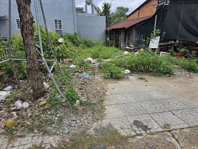 Đất trung tâm thị trấn Trẩng Bàng,đối diện Viện Kiểm Sát Trảng Bàng