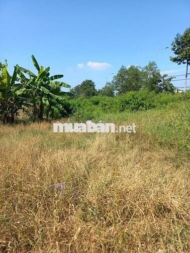 880TR/1000m2 đất CLN sổ riêng, đường ô tô, có điện, gần nút giao VĐ3