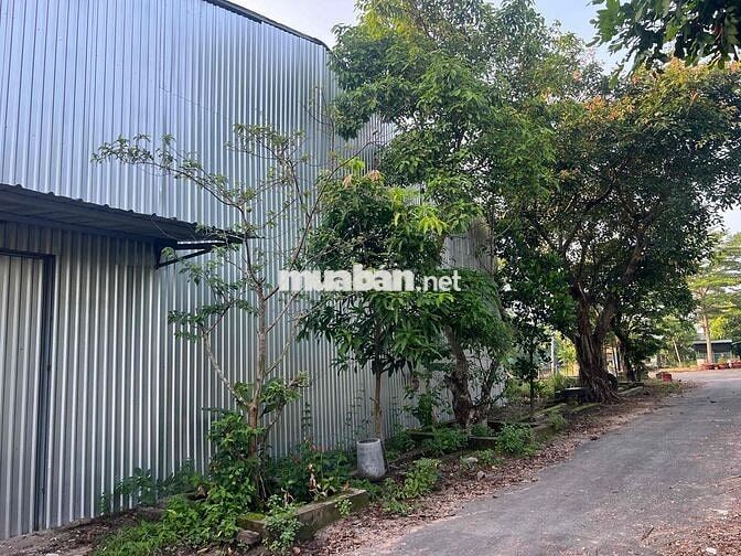 🏭 CHO THUÊ KHO 1.000m² - GIÁ CHỈ 19 TRIỆU - GẦN CẦU VƯỢT CỦ CHI