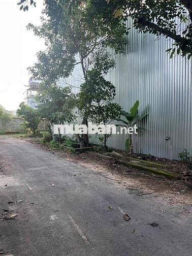 🏭 CHO THUÊ KHO 1.000m² - GIÁ CHỈ 19 TRIỆU - GẦN CẦU VƯỢT CỦ CHI