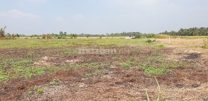 888tr trọn sổ 1000m2 đất sạch 100% đường ô tô, sổ riêng Vĩnh Thanh củ 