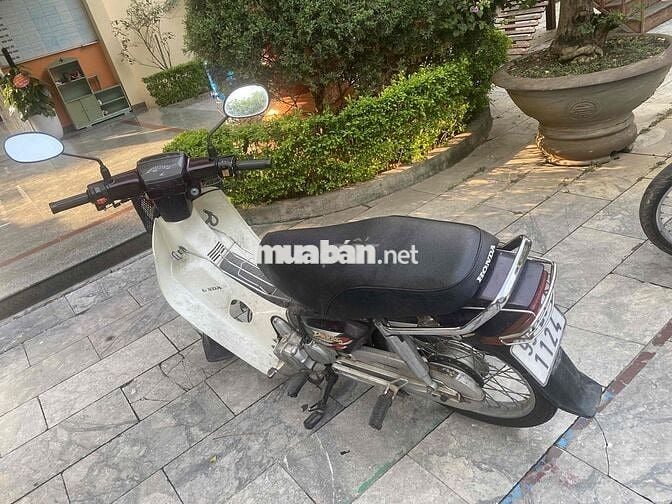 Honda Dream màu Trắng