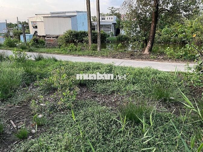 Đất gần quốc lộ 1A vị trí đẹp cần tìm chủ mới