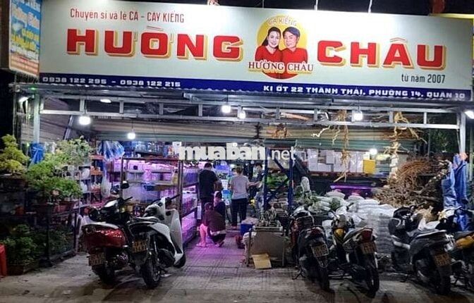 Tuyển LĐPT làm việc tại cửa hàng Cá kiểng