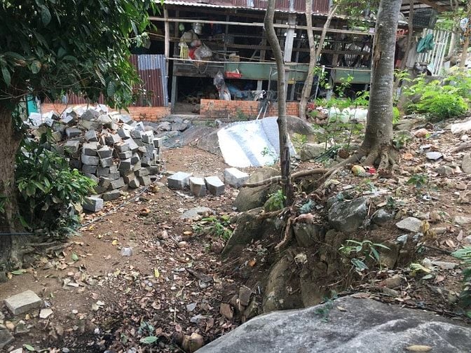 Đất Trung tâm đảo du lịch Hòn Sơn. 103,7 m2 Mặt tiền 15m đường chính