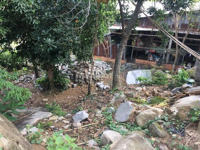 Đất Trung tâm đảo du lịch Hòn Sơn. 103,7 m2 Mặt tiền 15m đường chính