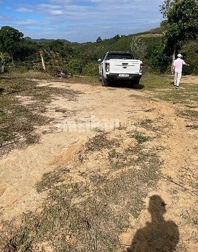 BÁN RẪY CÀ PHÊ KHÔNG NGƯỜI CHĂM