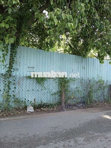 Đất mặt đường ô tô, Tân Hưng Q7, 180m2, 20 tỷ