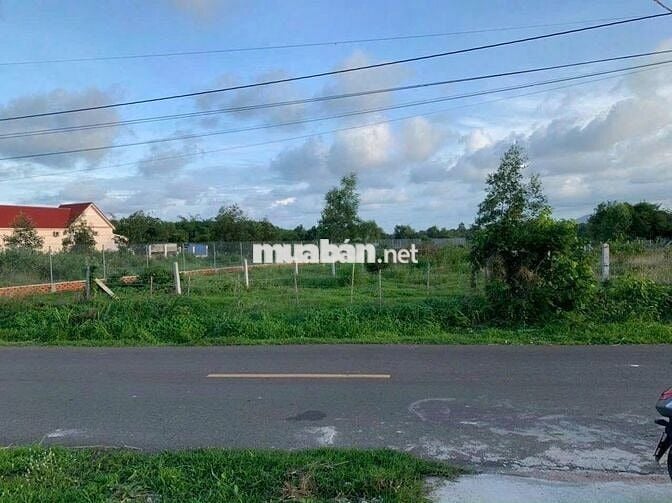 SANG NHANH LÔ ĐẤT 262M2, SỔ RIÊNG, THỔ CƯ SẴN GIÁ TỐT 590TR, ĐƯỜNG 16M