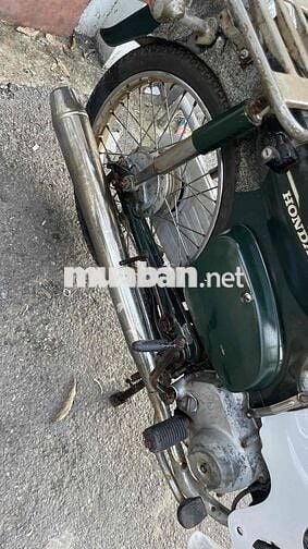 Honda Super Cub 50 Xanh lá cây