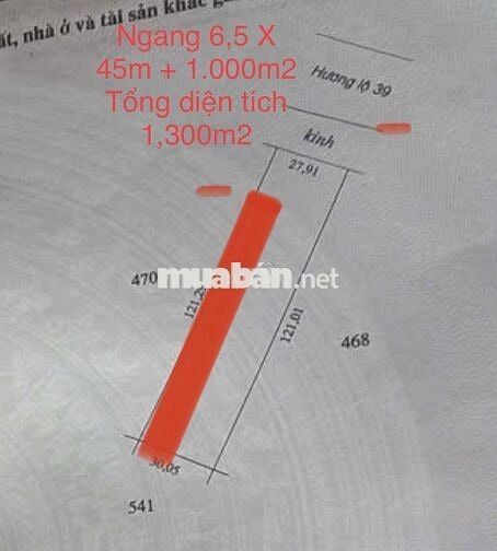 Cần bán đất vườn dừa 1,300m2 mặt tiền đường nhựa