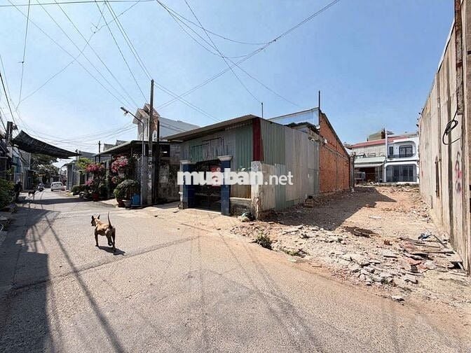 Bán đất thổ cư P Tân Phong ( Tân Triều  ) Ngay cv B5 107m2 Giá 3tỷ980