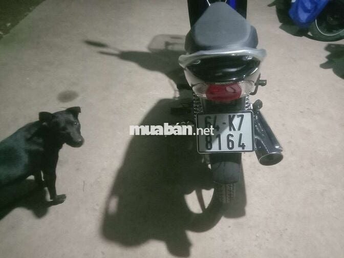 Honda Future Neo Xanh 