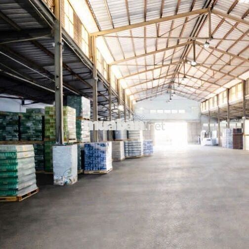 Cho thuê kho Bùi Văn Ba – 1300m2 – kho lớn phù hợp logistics & lưu trữ