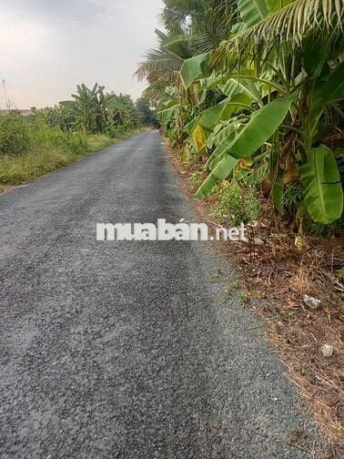 Bán đất thổ cư chính chủ đường huyện lộ nhựa