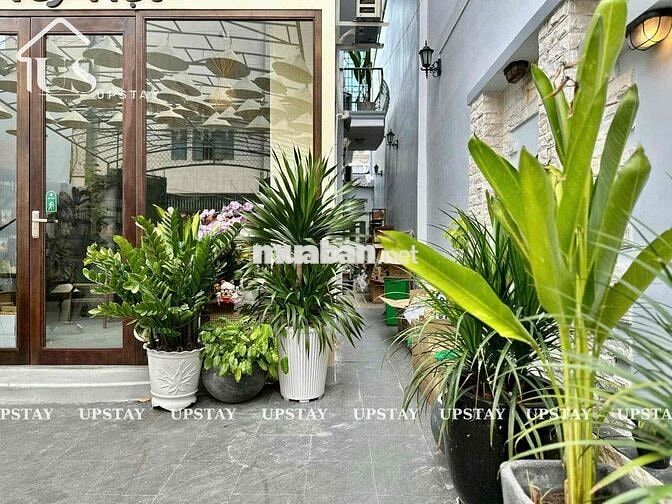Phòng Siêu Thoáng_Cửa Sổ_Full Nội Thất_Nguyễn Thị Minh Khai_Quận 1