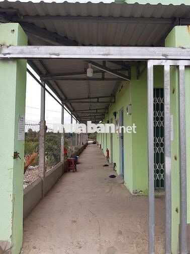 Nhà trọ giá rẻ 1 triệu, KDC bình khánh cần giờ