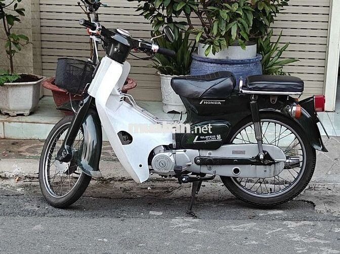 Honda Cup 50-81 có đề