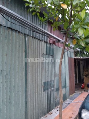 cho thuê nhà kho xưởng có điện nước nhà ở đầy đủ