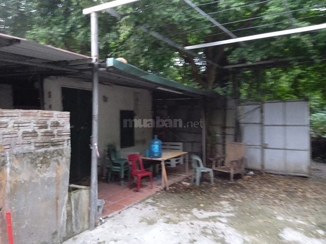 cho thuê nhà kho xưởng có điện nước nhà ở đầy đủ