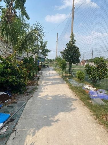 Cho thuê khu đất 126 Lại Hùng Cường xã Tân Vĩnh Lộc, 800m2, 8tr/th