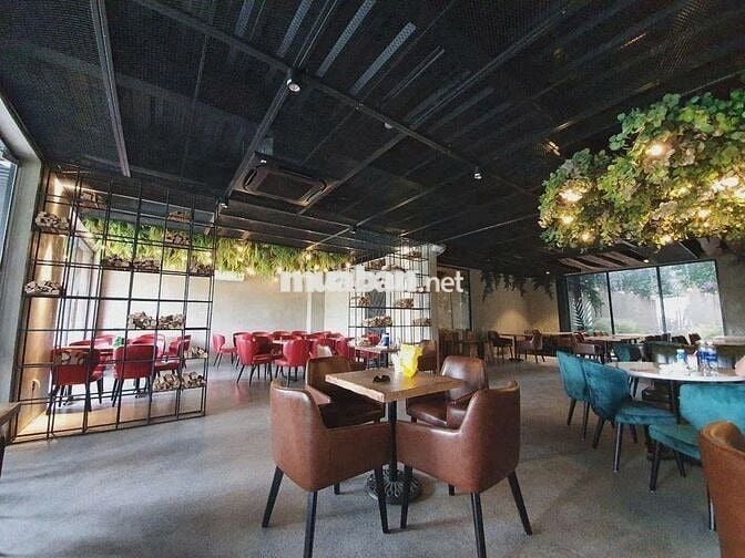🏡 CHO THUÊ BIỆT THỰ SÂN VƯỜN  PHAN XÍCH LONG QUẬN PHÚ NHUẬN 🌳