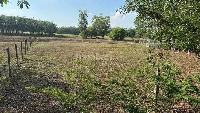 Bán gấp đất nền Phú Mỹ Hưng, Củ Chi 1475m2 giá 4.5 tỷ