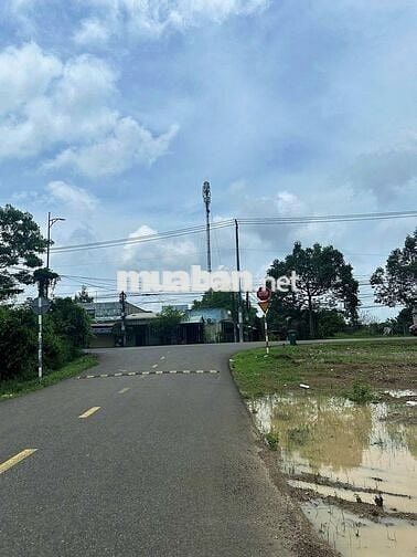 LÔ ĐẤT ĐƯỜNG 24, HÒA LONG – KHU DÂN CƯ HIỆN HỮU, VỊ TRÍ ĐẸP GIÁ TỐT