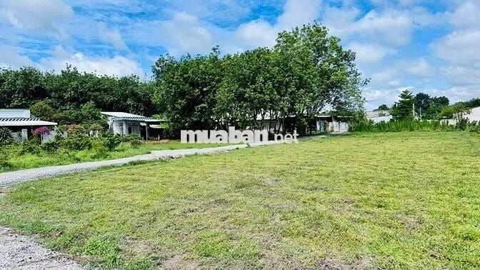 🏡 ĐẤT ĐẸP PHƯỜNG AN TỊNH – Ở NGAY, GẦN CHỢ & KCN- giá chỉ 690