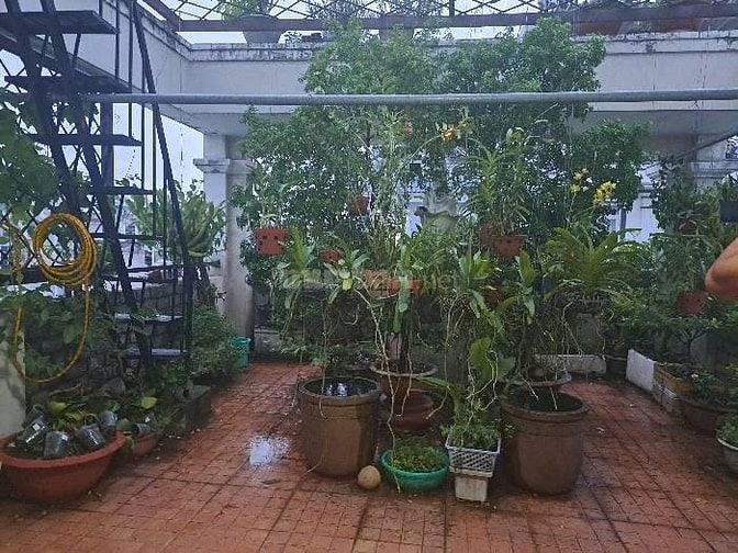 Bán nhà VỊ TRÍ ĐẸP HXT ngang 5.3m 122m2 CMT8 KD buôn bán gần BV 19 tỷ