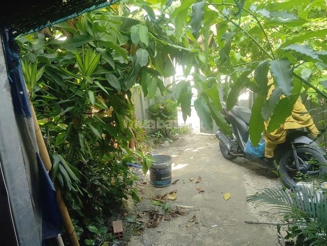 Bán Nhà Vườn Nhỏ Mát Mẻ Chính Chủ, gần cầu Rạch Tra, đường 4m