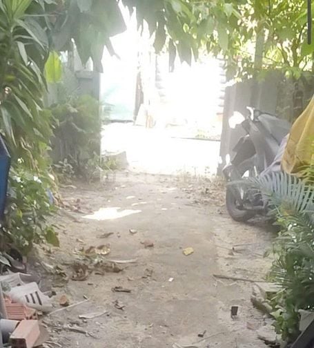 Bán Nhà Vườn Nhỏ Mát Mẻ Chính Chủ, gần cầu Rạch Tra, đường 4m