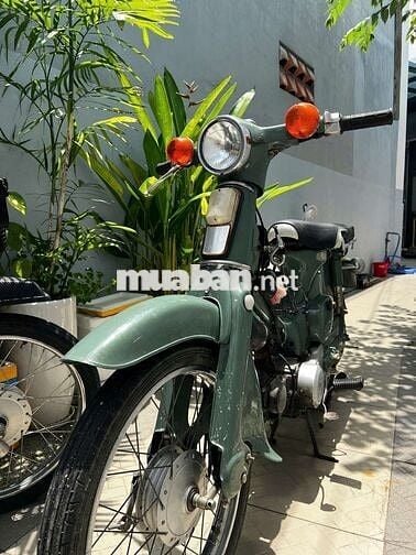 Honda Cup 49cc Xanh
