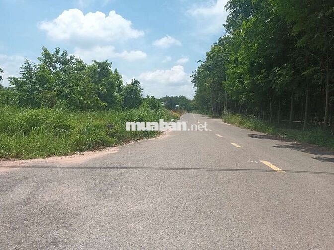 bán đất thị trấn tân thành binh dương